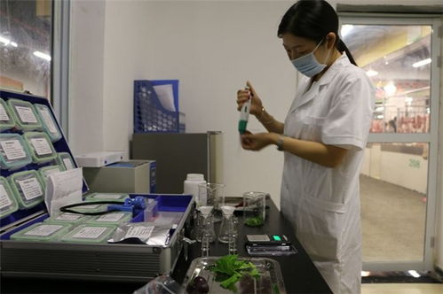 精诚致远检测技术服务 图 农残检测报告 博罗检测报告