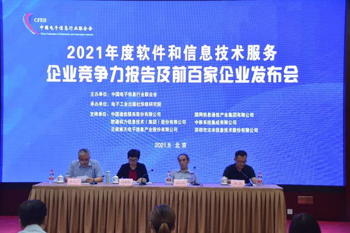 报告 2020年软件和信息技术服务百强企业利润同比增31.3