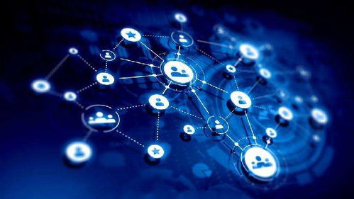 携手共赢 种植户与水溶肥生产厂家技术合作的新趋势